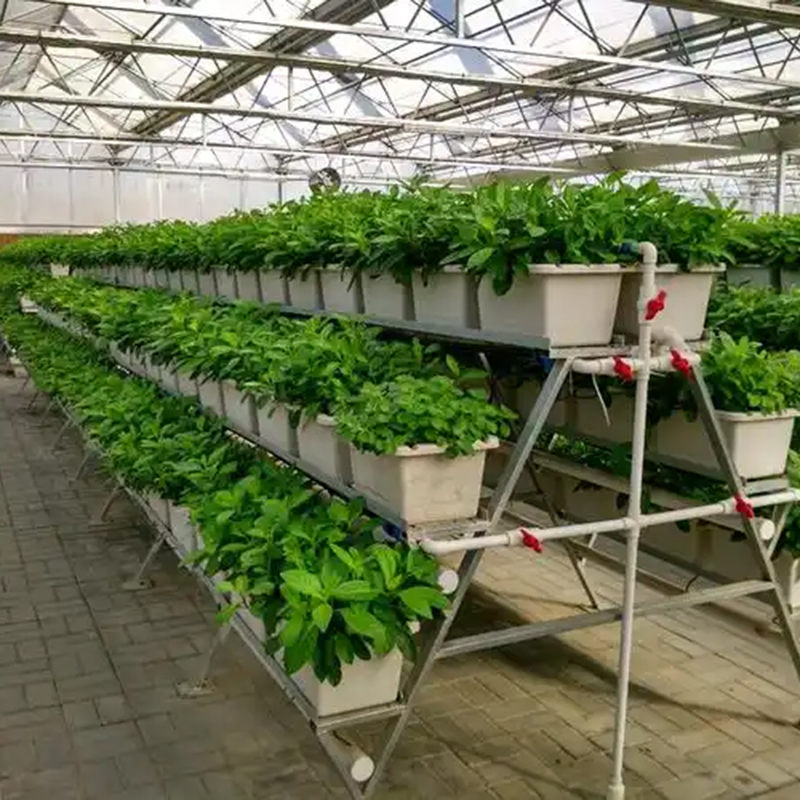 通辽市植物工厂种植槽 - 厂家